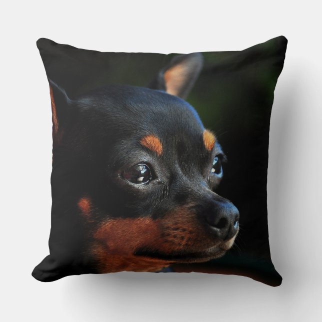 Miniature Pinscher dekorativ kudde (Framsida)