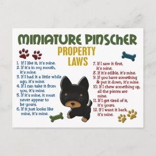 Miniature Pinscher Egendom Laws 4 Vykort