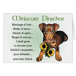 Miniature Pinscher Gifts Hälsningskort