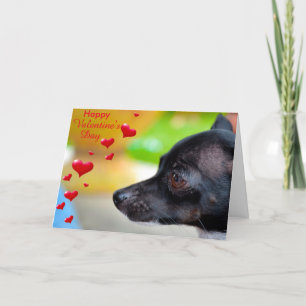 Miniature Pinscher Glad Valentine Day Card Helgkort