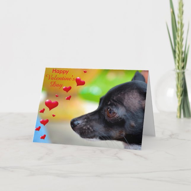 Miniature Pinscher Glad Valentine Day Card Helgkort (Framsida)