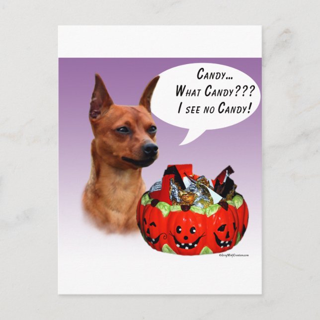 Miniature Pinscher Halloween-godis Vykort (Framsida)