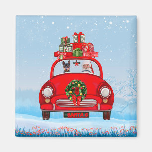 Miniature Pinscher hund i bil med tomte Magnet