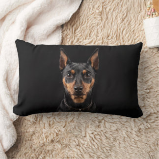 Miniature Pinscher isolerad på svart bakgrund Lumbarkudde