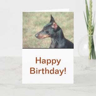 Miniature Pinscher Kort