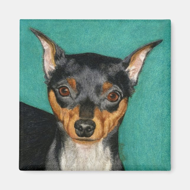 Miniature Pinscher Magnet (Framsidan)