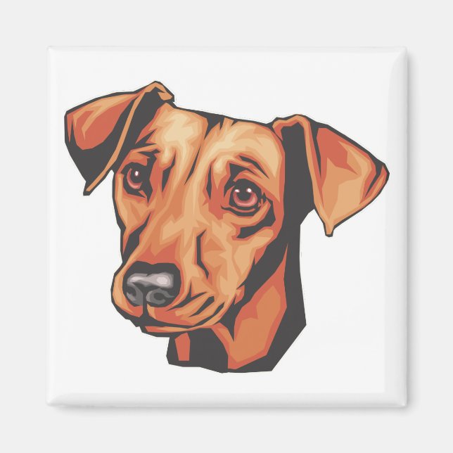 Miniature Pinscher Magnet (Framsidan)