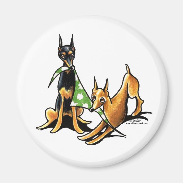 Miniature Pinscher n Apples Magnet (Framsidan)