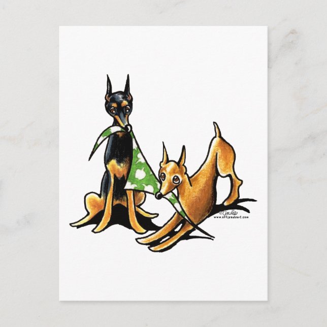 Miniature Pinscher n Apples Vykort (Framsida)