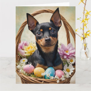 Miniature Pinscher Påskägg Kort