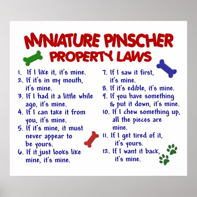 MINIATURE PINSCHER PL2 POSTER (Framsidan)