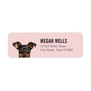 Miniature Pinscher Returetiketters Returadress Etikett