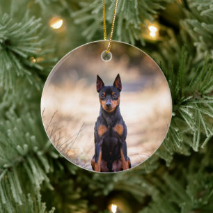Miniature Pinscher sittande Julgransprydnad Keramik