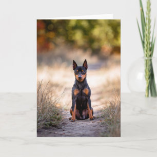 Miniature Pinscher sittande Kort