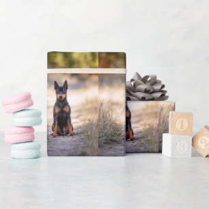 Miniature Pinscher sittande Presentpapper