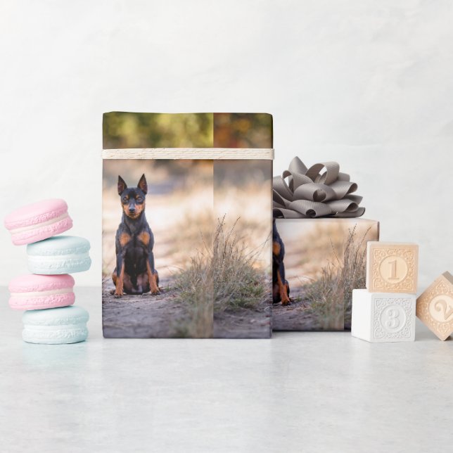 Miniature Pinscher sittande Presentpapper (Baby Shower)