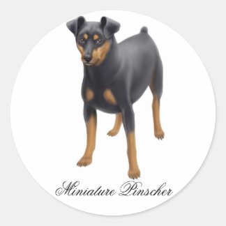 Miniature Pinscher Sticker Runt Klistermärke