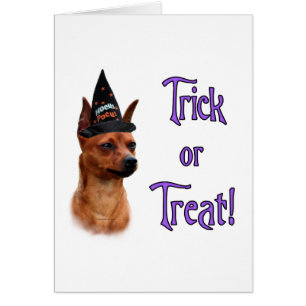 Miniature Pinscher Trick Hälsningskort