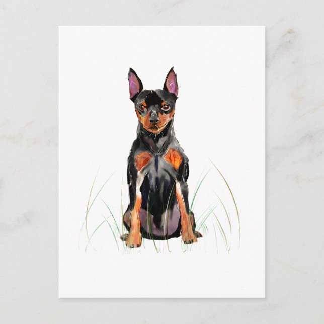 Miniature Pinscher vykort, Min Pin Vykort (Framsida)