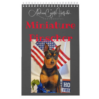 Miniature Pinschers Kalender