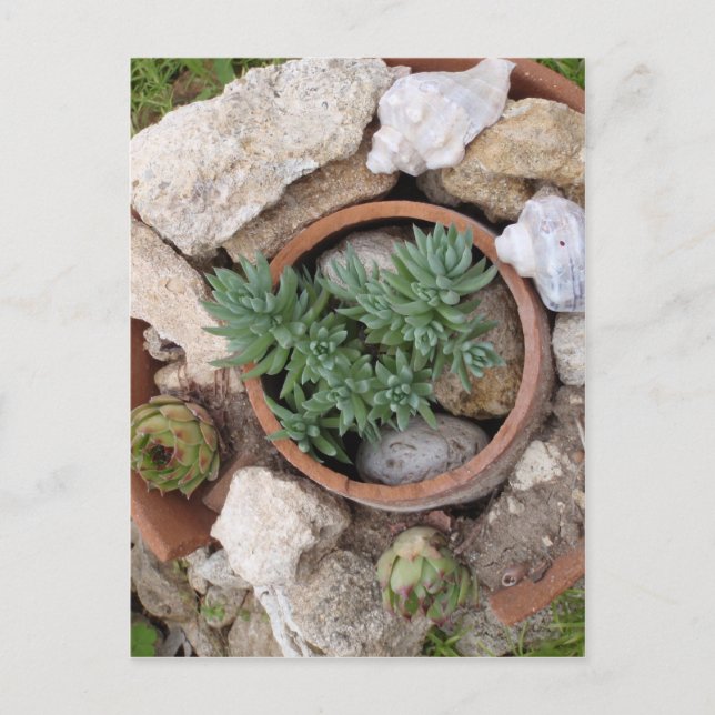 Miniature Rockery Vykort (Framsida)