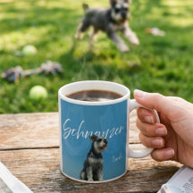 Miniature Schnauzer Anpassat Namn Retro Blå Himmel