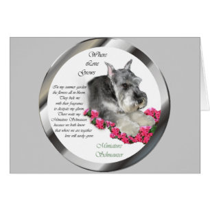 Miniature Schnauzer Art Gifts Hälsningskort