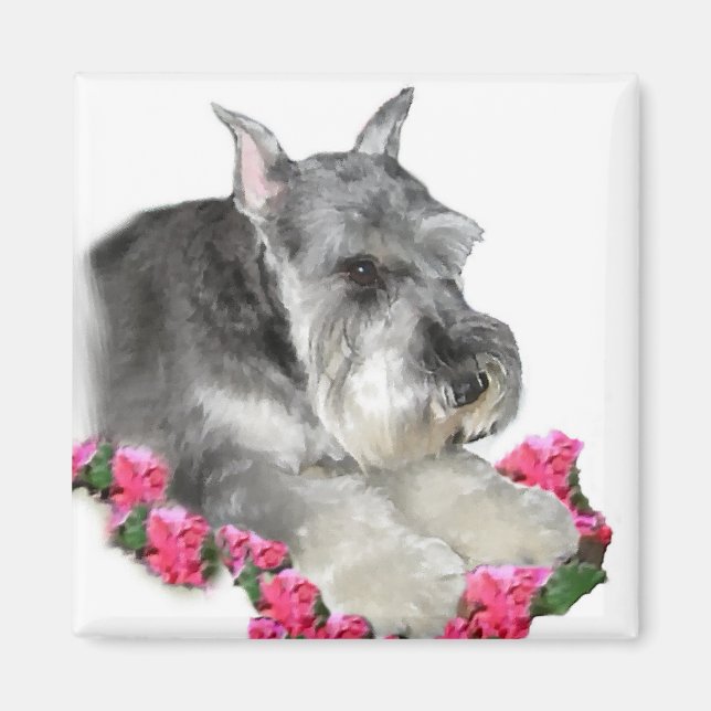 Miniature Schnauzer Art Gifts Magnet (Framsidan)