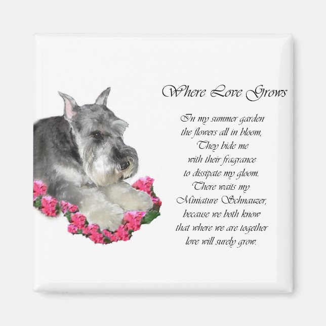 Miniature Schnauzer Art Gifts Magnet (Framsidan)