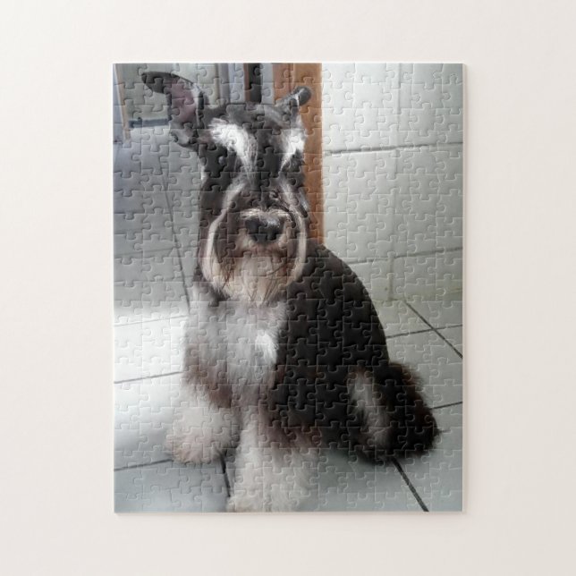 Miniature Schnauzer Black och Silver Sitta Pussel (Vertikal)