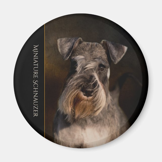 Miniature Schnauzer Fridge Magnet (Framsidan)