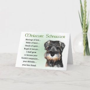 Miniature Schnauzer Gifts Kort