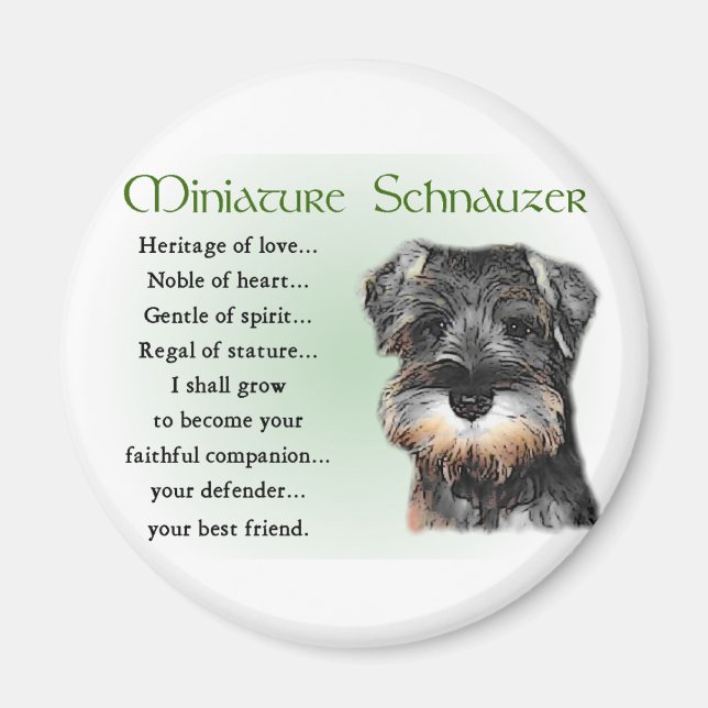 Miniature Schnauzer Gifts Magnet (Framsidan)