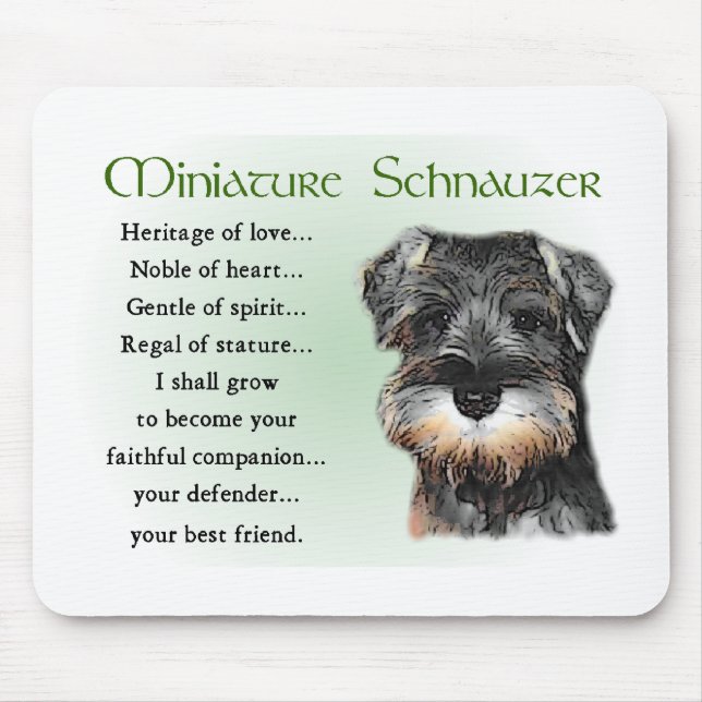 Miniature Schnauzer Gifts Musmatta (Framsidan)