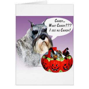 Miniature Schnauzer Halloween Candy Hälsningskort