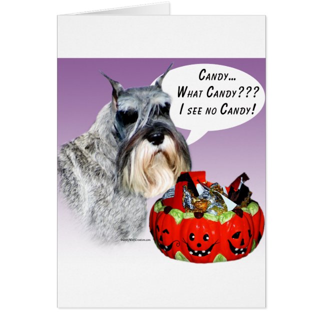 Miniature Schnauzer Halloween Candy Hälsningskort (Framsidan)