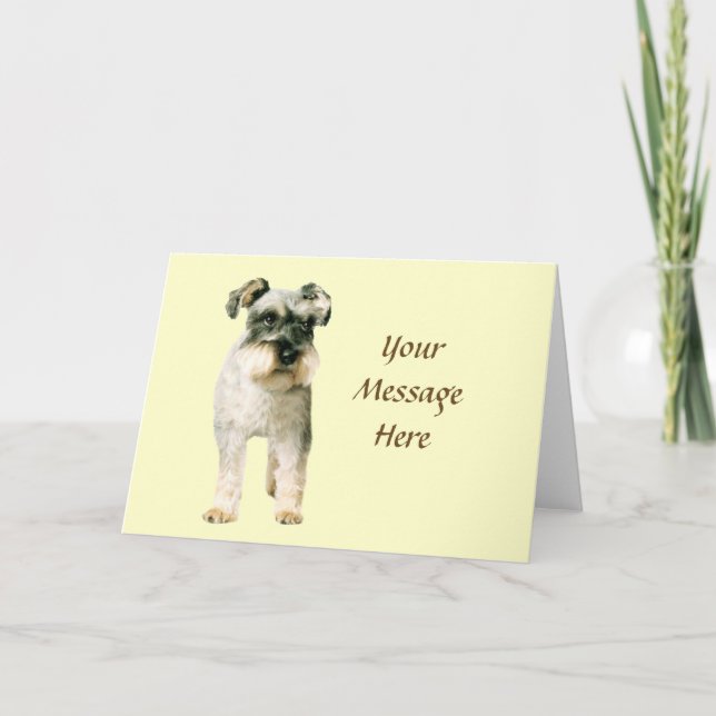 Miniature Schnauzer-hälsningskort Kort (Framsida)