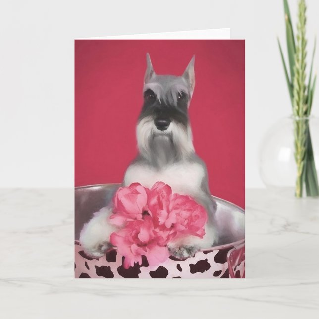 Miniature Schnauzer-hälsningskort Kort (Framsida)