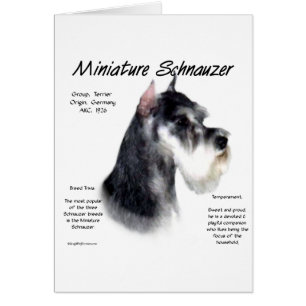 Miniature Schnauzer Historik Design Hälsningskort