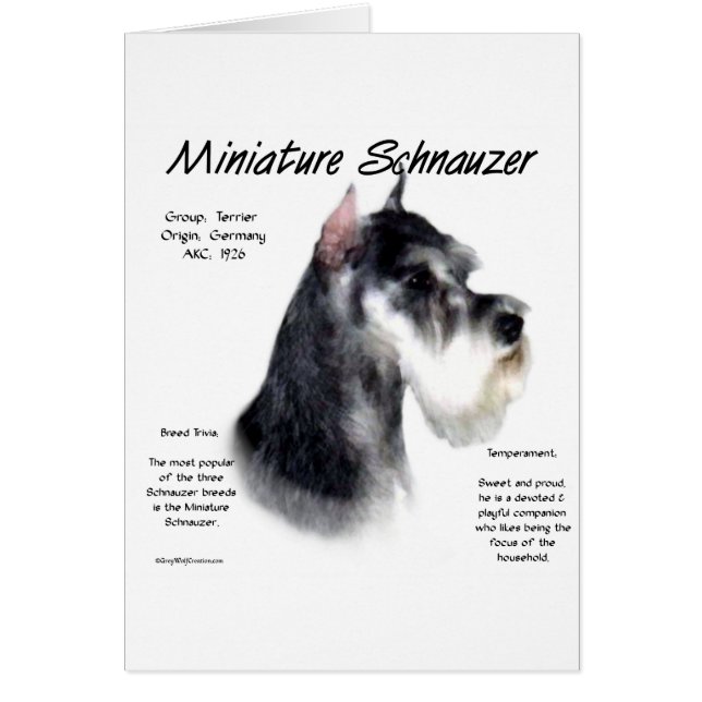 Miniature Schnauzer Historik Design Hälsningskort (Framsidan)