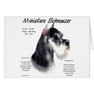 Miniature Schnauzer Historik Design Hälsningskort