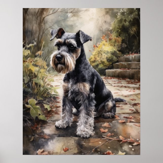 Miniature Schnauzer Hund Art Print Poster (Framsidan)