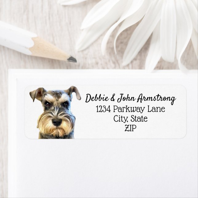 Miniature Schnauzer Hund Puppy Returadress Returadress Etikett (Insitu)