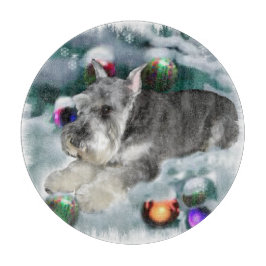 Miniature Schnauzer jul
