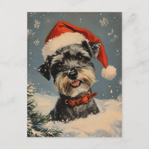 Miniature Schnauzer jul Vykort