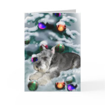 Miniature Schnauzer julgåvor