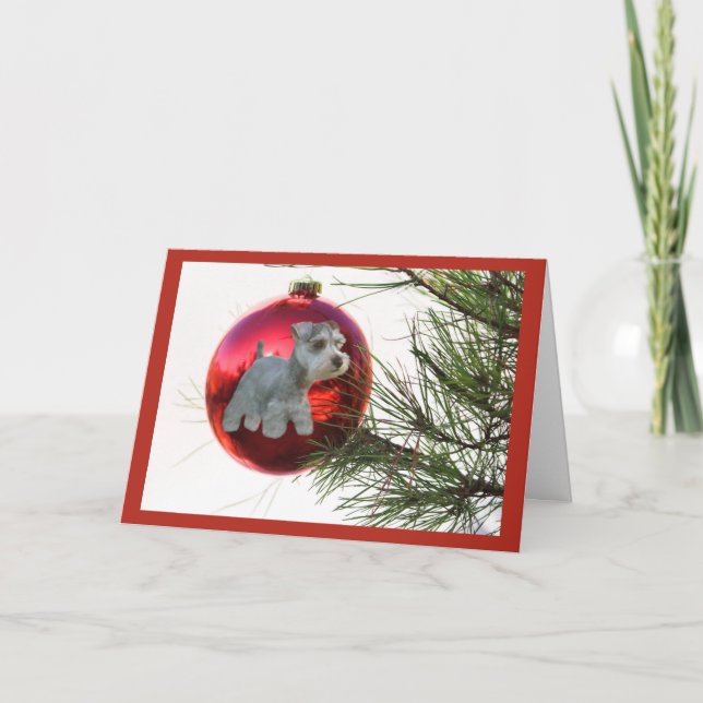 Miniature Schnauzer julkort Boll Hanging Helgkort (Framsida)