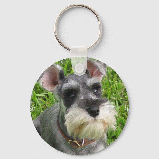 Miniature Schnauzer Keychain Nyckelring (Framsida)