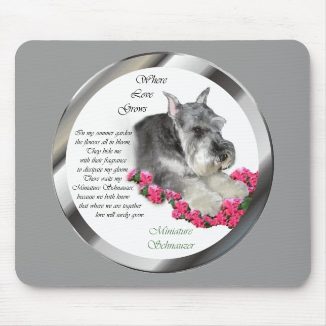 Miniature Schnauzer Konstpresenter Musmatta (Framsidan)