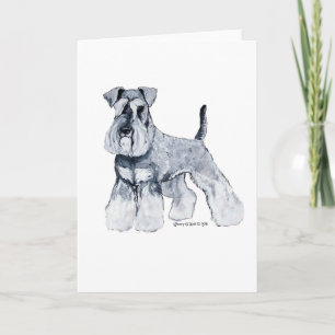 Miniature Schnauzer Kort